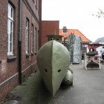 Seehund von vorn