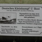 Seehund Beschreibung