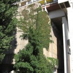 Aussenansicht_1