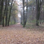 Mueggelberge03