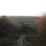 Blick vom Teufelsberg2