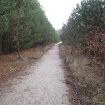 Weg zum Wannsee