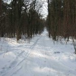 Mueggelberge im Winter