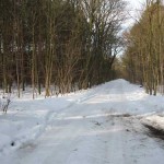 Mueggelberge im Winter02
