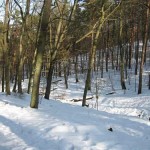 Mueggelberge im Winter03