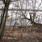 Havel04