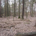 Mauerweg02
