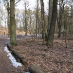 Mauerweg03