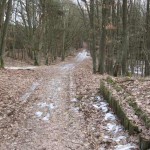 Mauerweg 1