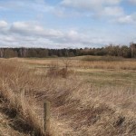Mauerweg bei Staaken