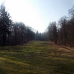 Blick zum Denkmal
